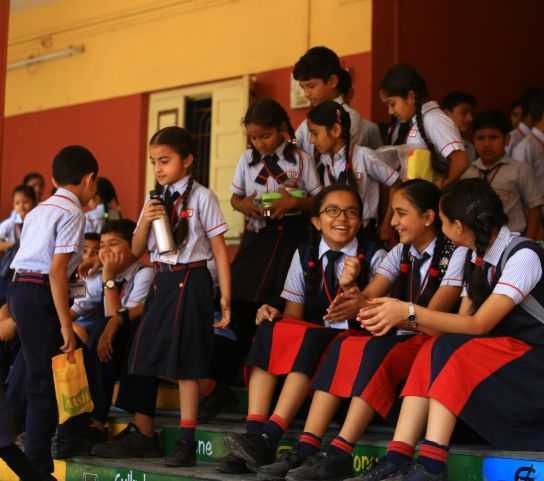Why Choose Us